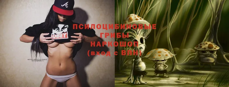 Псилоцибиновые грибы MAGIC MUSHROOMS  купить наркоту  Губаха 